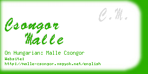 csongor malle business card